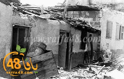 ludqjh13u1 (3).jpg.jpg